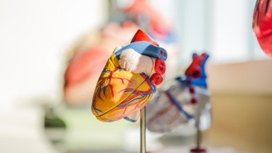 Vínculo entre colesterol alto y enfermedad cardiaca no sería tan fuerte: Estudio