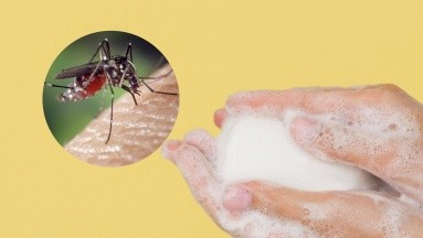 ¿Los mosquitos no dejan de picarte? El jabón que usas podría ser el responsable: Estudio
