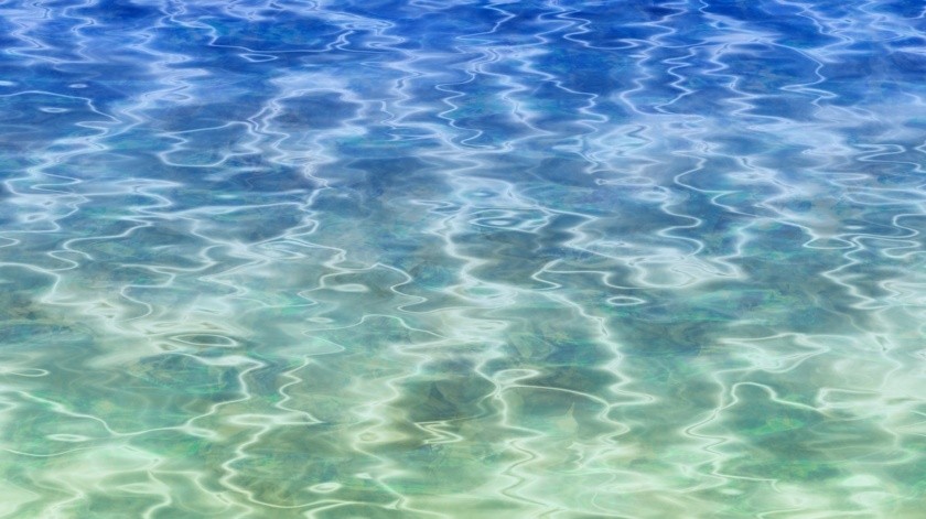 Se calcula que alrededor de 1500 millones de individuos nadan de forma habitual.(Pixabay.)