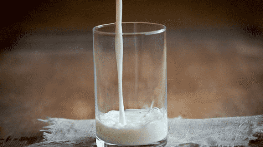 Especialistas han descubierto que la leche de cucarachas podría tener más proteínas que la leche de vaca.(Pixabay)