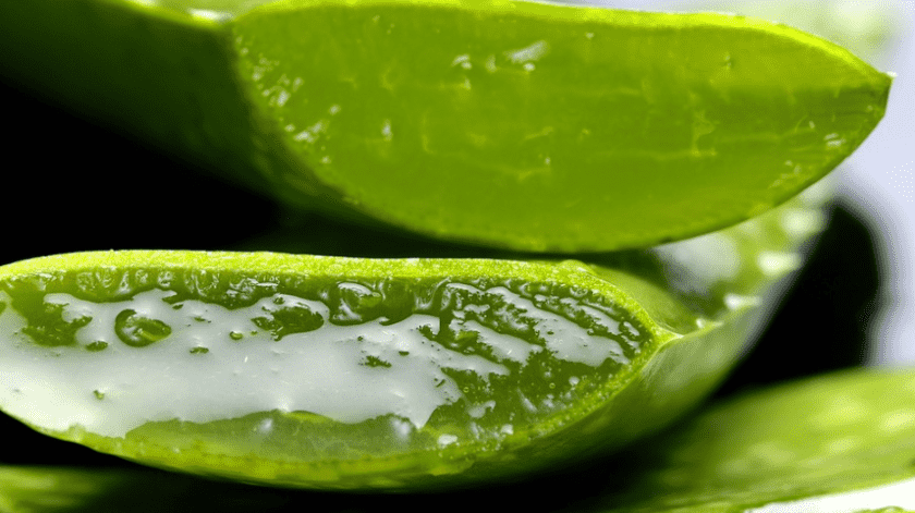 El Aloe vera ofrece múltiples beneficios a tu salud.(Pixabay)