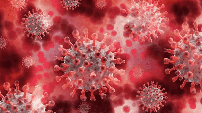 Instituciones de salud continúan trabajando para encontrar una vacuna contra el Covid-19.(Pixabay)