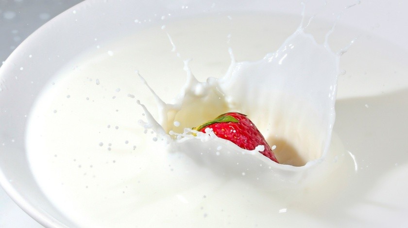 La leche es un alimento importante para incluir en tu dieta por sus vitaminas y minerales.