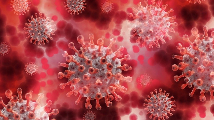 Conforme ha avanzado la pandemia del Covid-19, han surgido diferentes síntomas de esta nueva enfermedad.(Pixabay)