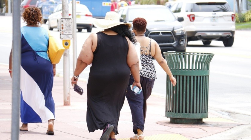 La obesidad es una enfermedad causada por malos hábitos alimenticios y sedentarismo.(Pixabay)