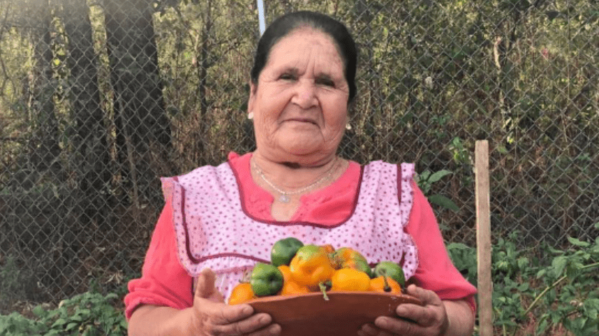 Doña Ángela se ha convertido en una youtuber muy querida por su carisma al preparar platillos mexicanos.(Facebook)