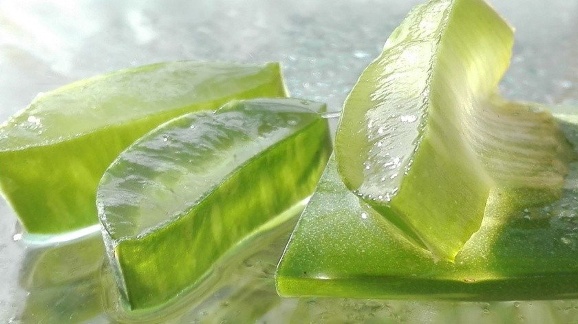 Colocar gel de aloe vera en las aftas puede ayudar a aliviar el dolor.(Pixabay)
