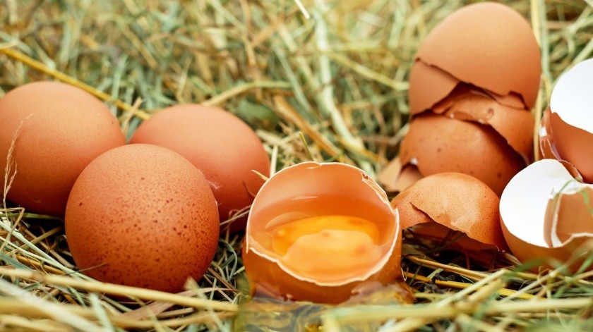 De acuerdo al portal especializado Institutos de Estudios del Huevo en España, hay que aprender a manipular los huevos con mucha higiene.(Pixabay)