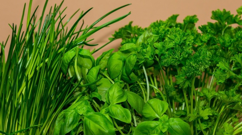 Las hierbas aromáticas suelen ser utilizadas en la cocina para dar sabor y aroma a los platillos pero también tienen otros usos.(Pixabay)