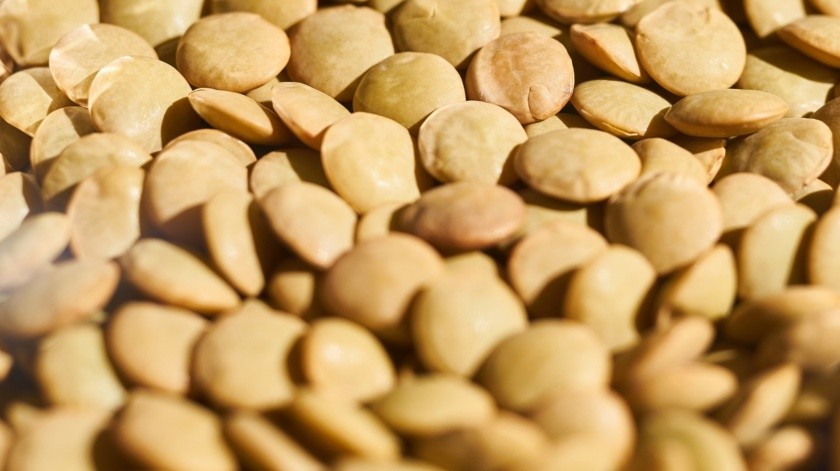 Las lentejas pueden aportar mayor cantidad de proteína que la carne si se combina con cereales.(Pixabay)