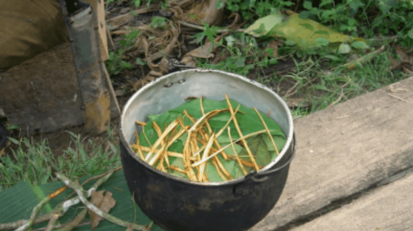 El té de ayahuasca ha sido utilizado durante años por chamanes.(Cortesía)
