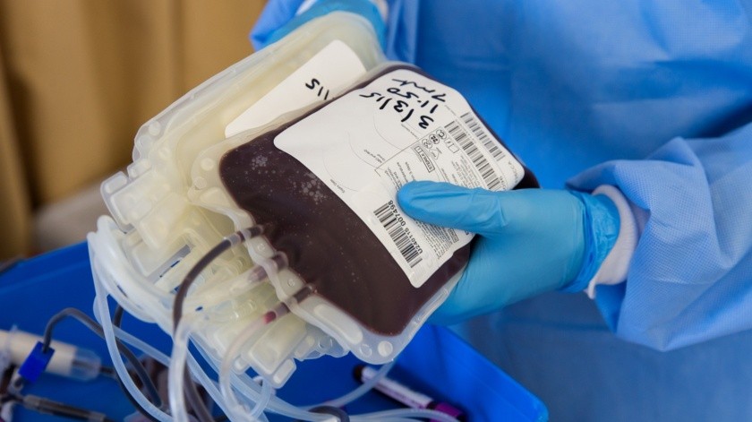 Esto podría ser una buena herramienta para identificar donantes de plasma adecuados para ensayos clínicos y tratamientos.(Pixabay.)