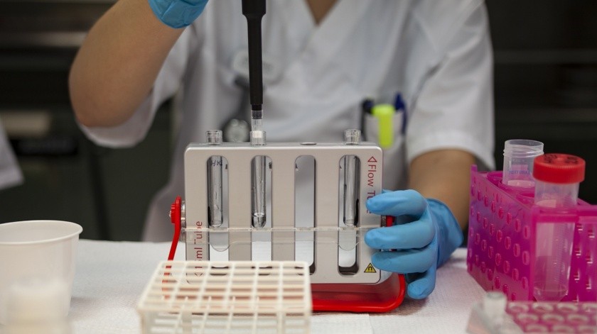 Cuando la cantidad de pruebas era la misma, la prueba rápida siempre reducía la infecciosidad mejor que la prueba de PCR más lenta y sensible.(Pixabay.)