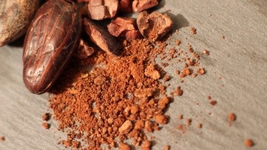 Revelan datos sobre los efectos positivos de los flavonoides del cacao en adultos sanos