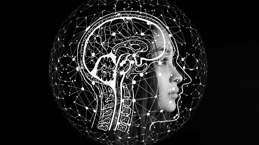 Nuevas modalidades de neuroimagen permiten estudiar mejor la enfermedad de Alzheimer.(Pixabay)