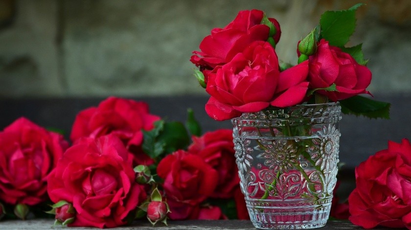 Mantén tus flores bonitas por más tiempo con los cuidados necesarios.(Pixabay)