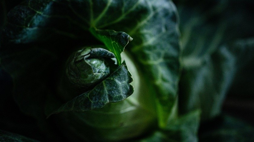 Los vegetales de hoja verde son de gran beneficio para la salud, pues aportan nutrientes esenciales para el organismo.(Pixabay)