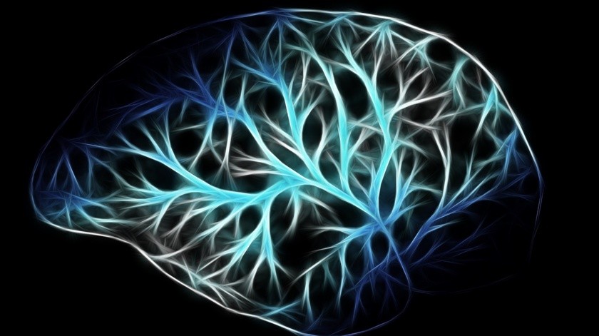 un grupo similar de neuronas también fue el primero en morir cuando la degeneración alcanzó la circunvolución frontal superior del cerebro.  (Pixabay.)
