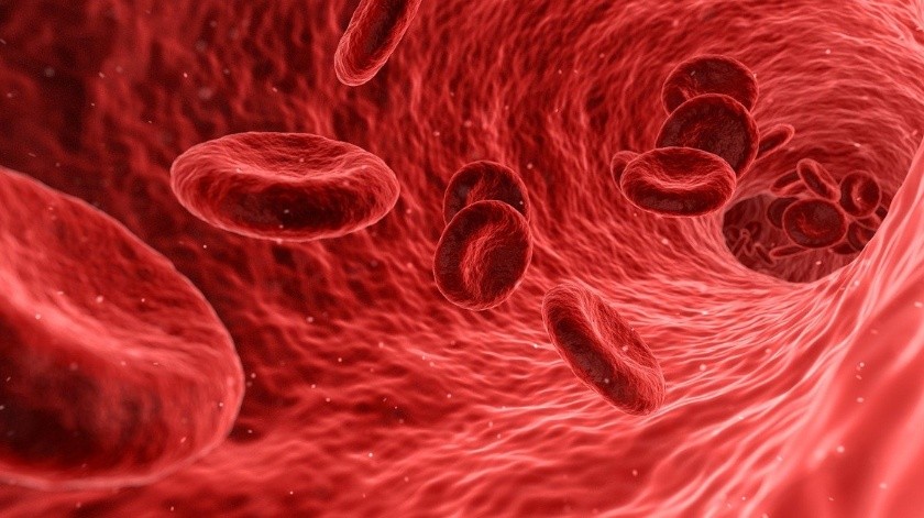Los coágulos en la sangre pueden formarse por diversas causas.(Pixabay)