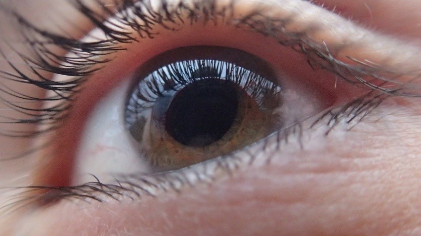 Protege a tu ojo de gérmenes, polvo y otros materiales dañinos. También ayuda al ojo a enfocar. Si usted usa lentes de contacto, estos flotan sobre su córnea.(Pixabay.)