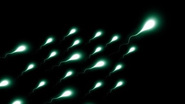 Un trastorno genético podría ser tratado con un compuesto aislado de esperma humano