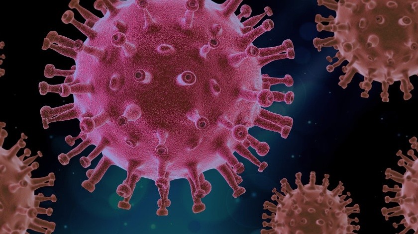 Un antiviral nasal bloquea la transmisión del SARS-Cov-2 en hurones.(Pixabay)