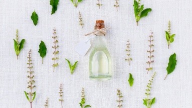 Aprende a utilizar hierbas aromáticas tanto en la cocina como para perfumar