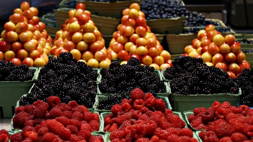 La frugívora es a vase de frutas y las mismas como sabemos están llenas de azúcar natural en forma de fructosa, pero también tienen vitaminas y antioxidantes, incluida la vitamina C y el betacaroteno.(Pixabay.)