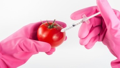 ¿Qué son los organismos genéticamente modificados? La FDA lo explica