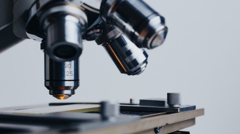 Las muestras de tejido de la biopsia de próstata se examinan con un microscopio para detectar anomalías celulares, que son un signo de cáncer de próstata.(Pixabay.)