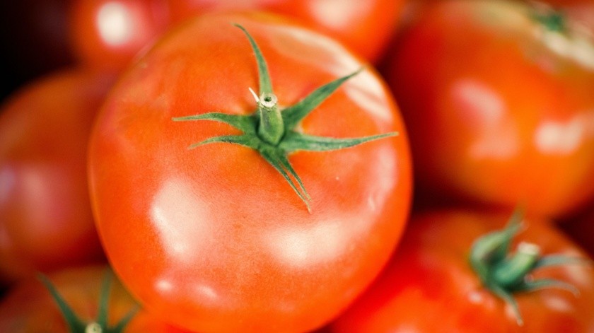 El tomate es un fruto con grandes propiedades.(Unsplash)