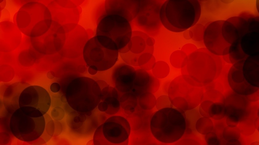 El principal problema para las personas con hemofilia, detalló, son las hemorragias internas, principalmente en músculos y articulaciones.(Pixabay.)