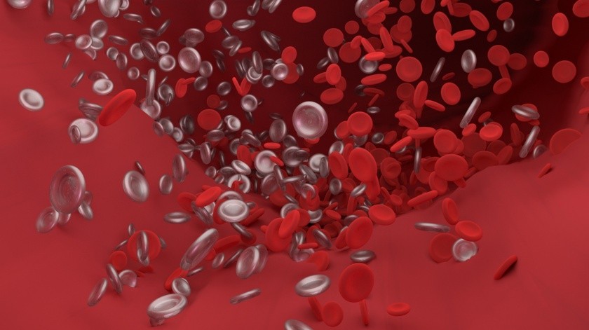 Cuando se habla de trombos se hace referencia a la formación de coágulos de sangre en las arterias o las venas.(Pixabay)
