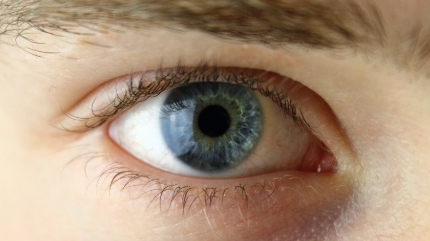 En el otoño de 2021, comenzará un largo ensayo clínico con nicotinamida en el glaucoma, bajo el liderazgo de la Universidad de Umeå, el Karolinska Institutet y el St. Erik's Eye Hospital.(Pixabay.)