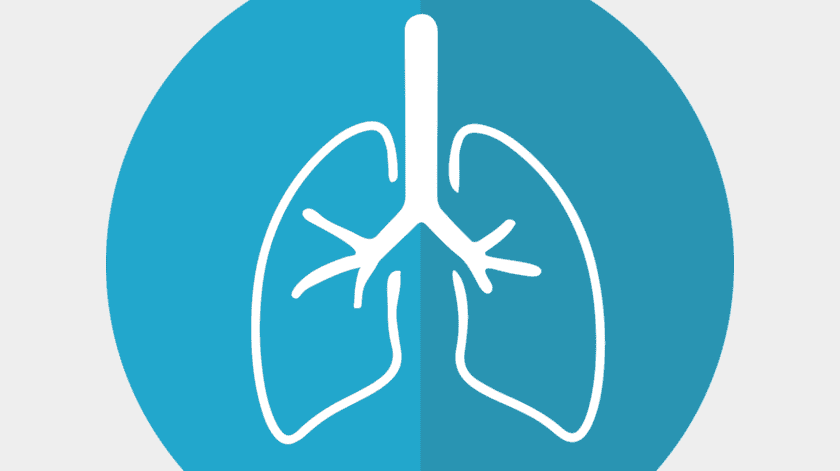 Expertos detallaron que una aplicación basada en inteligencia artificial puede apoyar en el diagnóstico precoz del cáncer de pulmón y se busca reducir el 20% de la mortalidad para el año 2025.(Pixabay.)