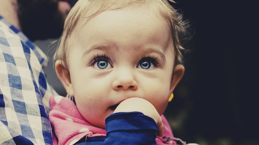Los alimentos deben ser blandos o en puré para prevenir atragantamiento en los bebés. (Pixabay.)