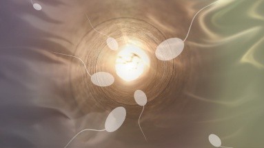 Los factores que influyen en la infertilidad y cómo se puede detectar y tratar
