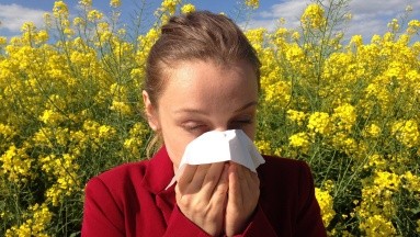 Alergias incrementan más producto del cambio climático, según estudio