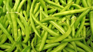 Recetas: Prueba una deliciosa a base de judías verdes con pesto de nueces