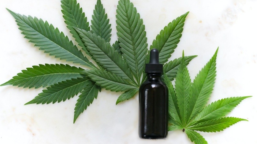 Médicos del IASP, el organismo más grande que se encarga de estudiar el dolor, emitió su declaración sobre el uso del cannabis.(Unsplash)