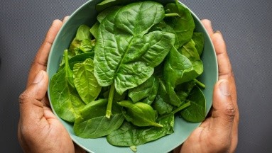 Consume más espinacas: Conoce 6 de sus beneficios para la salud
