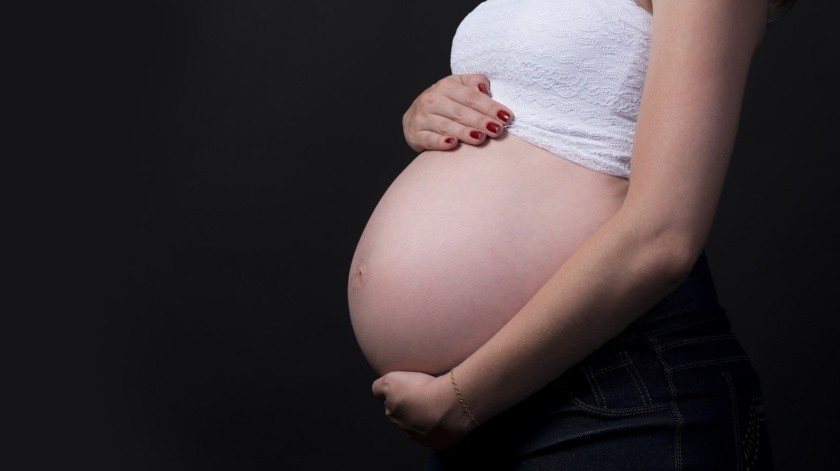 La mujer durante el embarazo debe tomar ciertas medidas para que lleve una gestación perfecta.(Pixabay.)