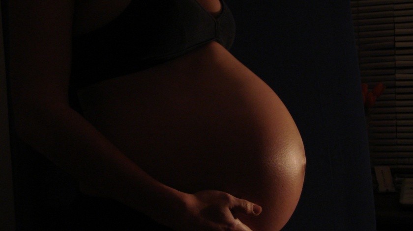 OPS insta a las embarazadas a vacunarse contra el covid.(Pixabay.)
