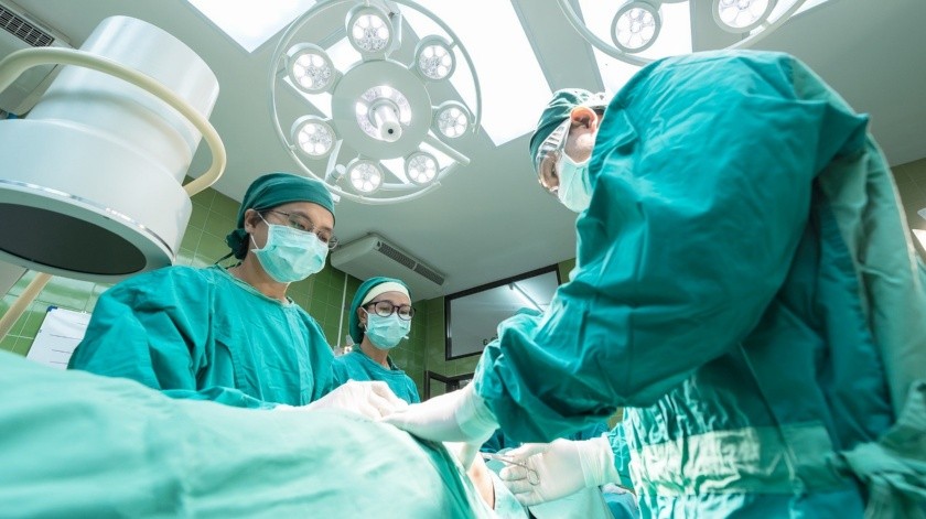 Primera cirugía de trasplante de riñón de cerdo a humano se llevo a cabo en EU.(Pixabay.)
