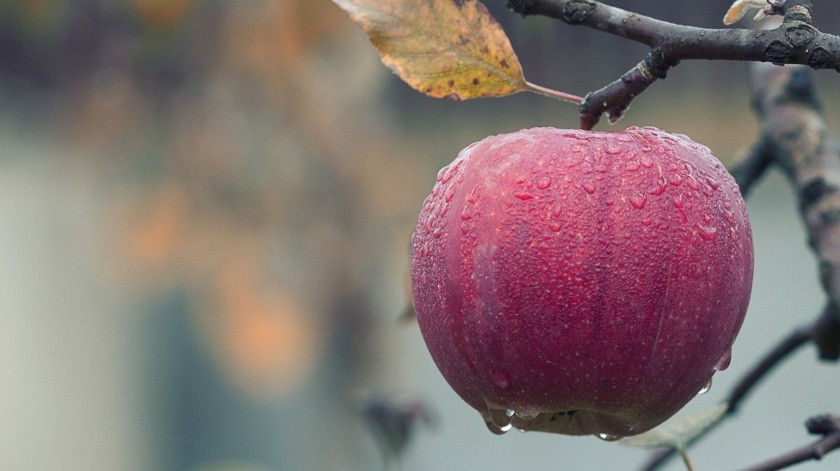 La manzana te aporta mucha nutrición.(Pixabay.)