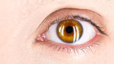 Algunos cambios en la retina revelarían síntomas de esclerosis lateral amiotrófica