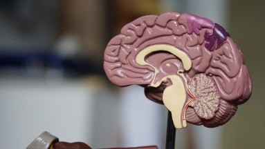 Alzheimer: Fármacos para el TDAH podrían servir para algunos síntomas de la enfermedad