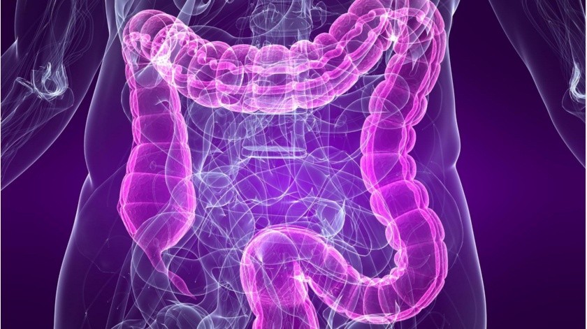 Investigadores descubrieron que los genes están relacionados con los hábitos intestinales.(EFE)