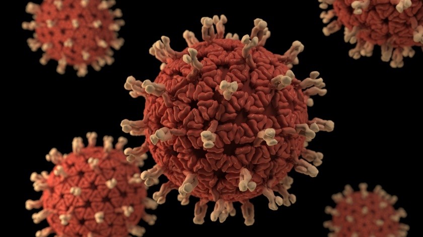 Un inmunólogo ha afirmado que el Covid-19 se parece al sarampión por su contagio.(Unsplash)