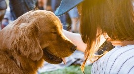 Investigadores confirmaron que abrazar a tu perro puede mejorar significativamente tu bienestar emocional. 
